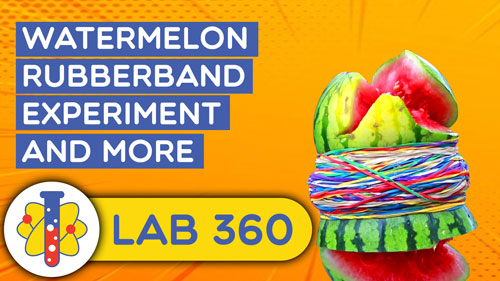 Watermelon Rubber Band Experiment 